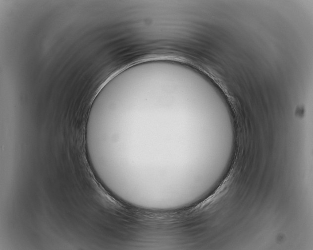 X0000100361369200806060813