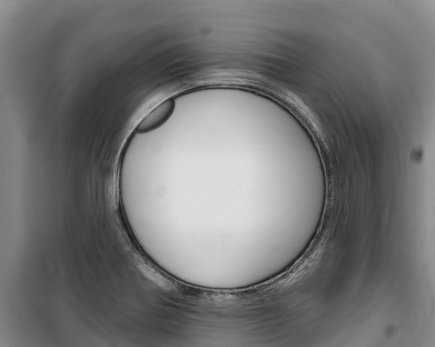 X0000100361370200806060813