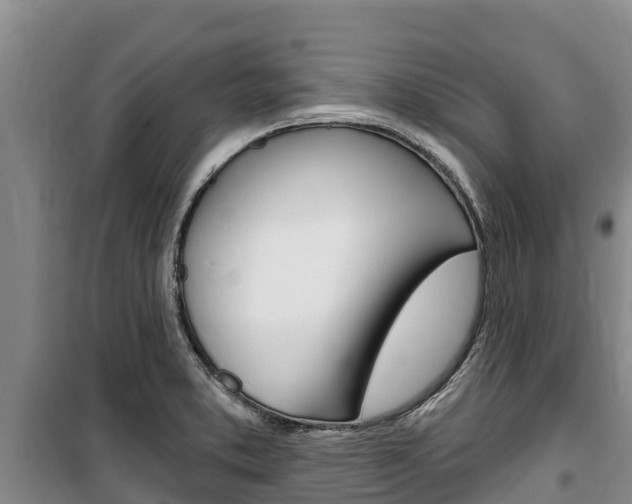 X0000100361373200806060813