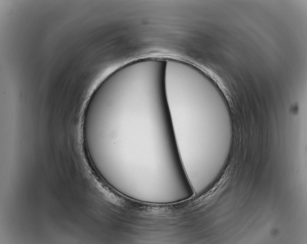 X0000100361375200806060813