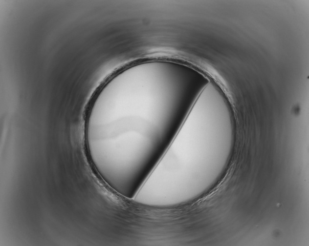 X0000100361376200806060813