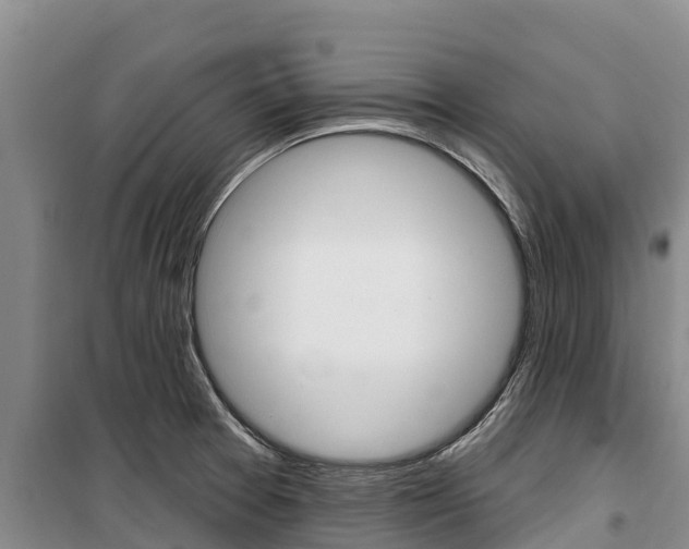 X0000100361377200806060813