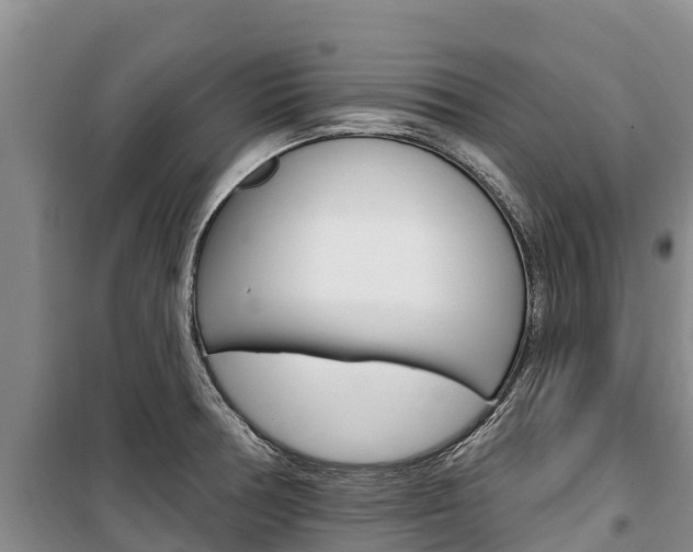 X0000100361378200806060813