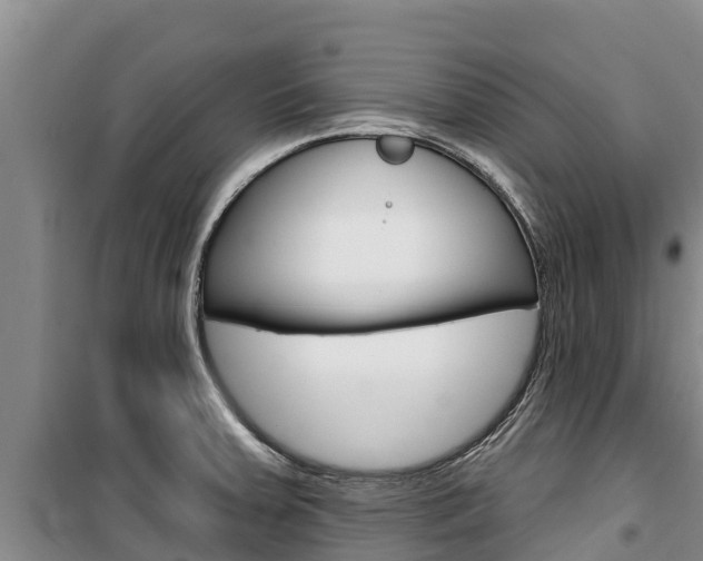 X0000100361379200806060813