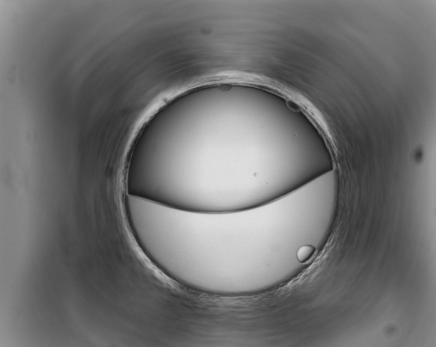 X0000100361381200806060813