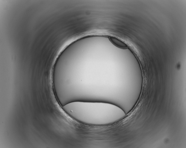 X0000100361382200806060813