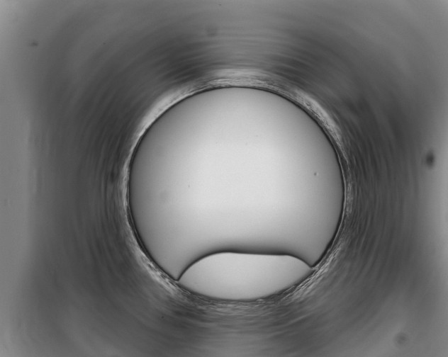 X0000100361386200806060813