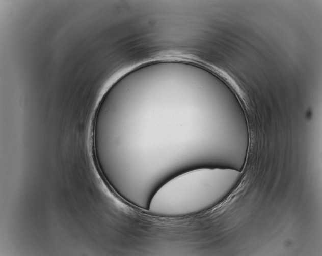 X0000100361387200806060813