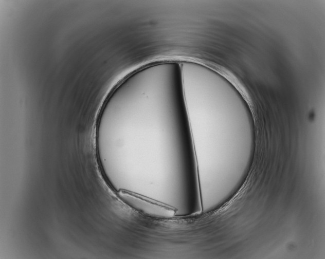 X0000100361388200806060813