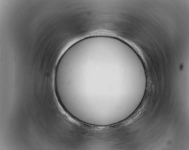 X0000100361390200806060813
