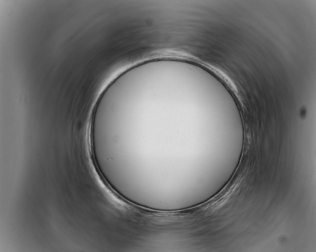 X0000100361391200806060813