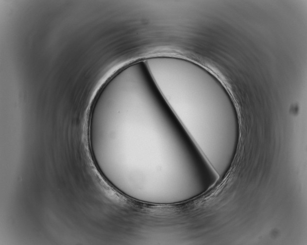X0000100361392200806060813