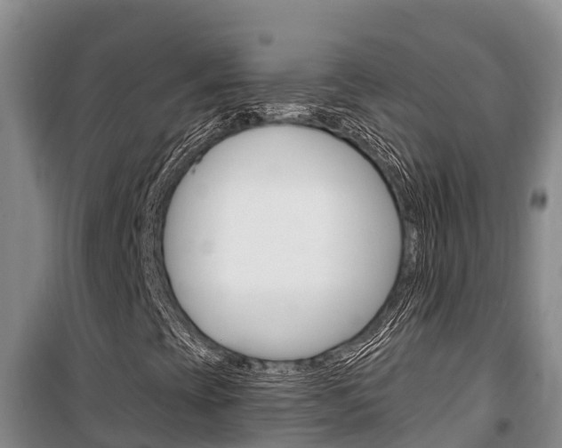 X0000100361393200806060812