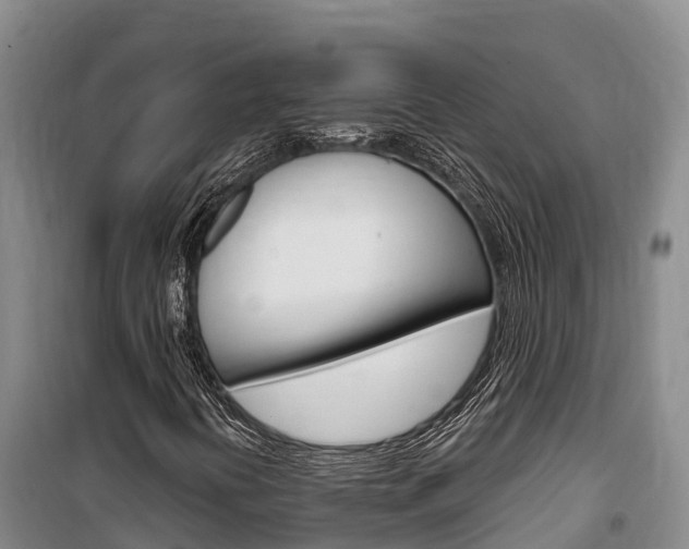 X0000100361394200806060812