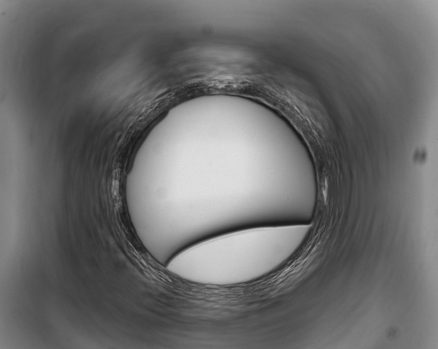 X0000100361396200806060812