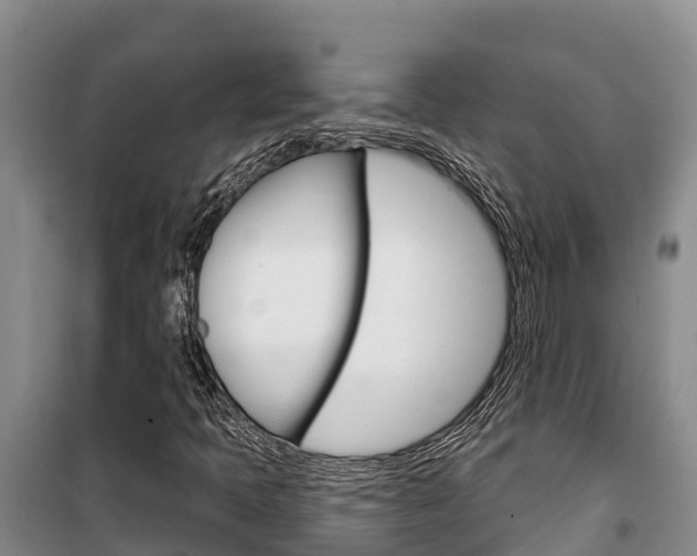X0000100361397200806060812