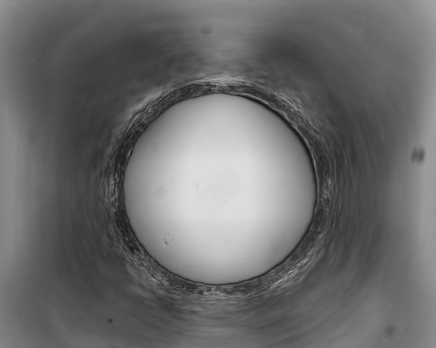 X0000100361398200806060812