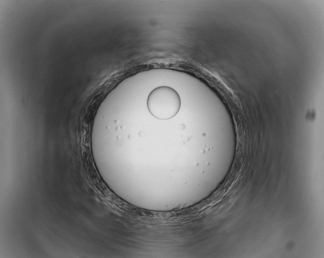 X0000100361399200806060812