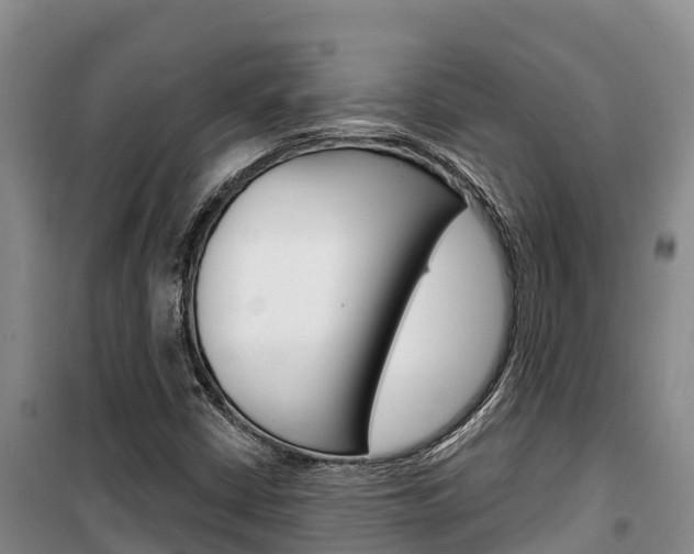 X0000100361402200806060812