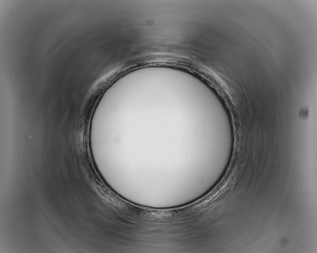 X0000100361403200806060812