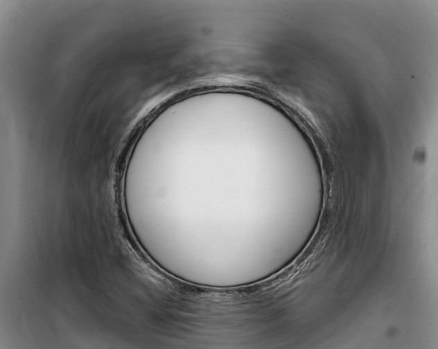 X0000100361404200806060812