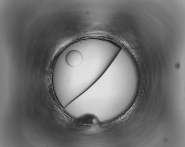 X0000100361405200806060812