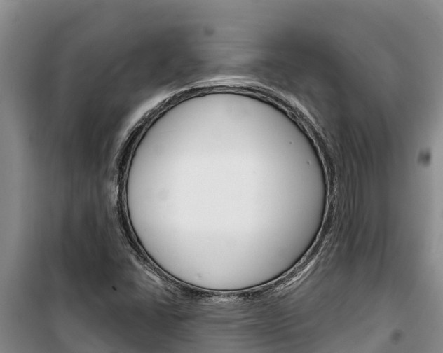 X0000100361406200806060812