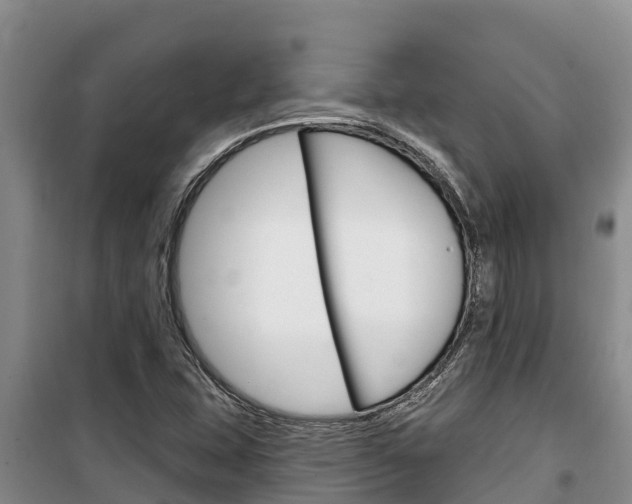X0000100361407200806060812