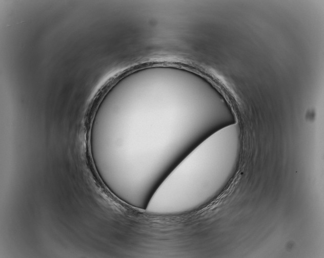 X0000100361408200806060812
