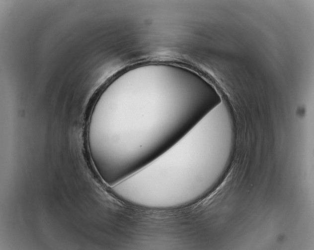 X0000100361410200806060812