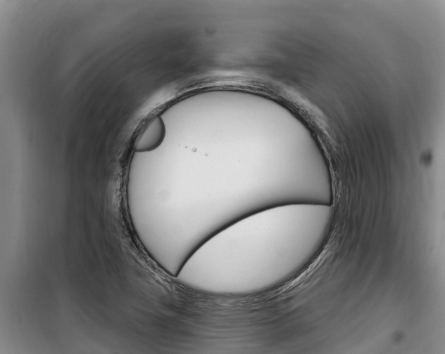 X0000100361411200806060812