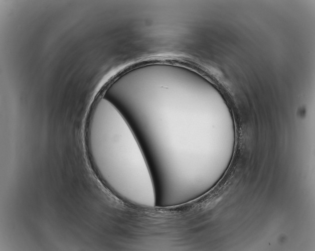 X0000100361412200806060812