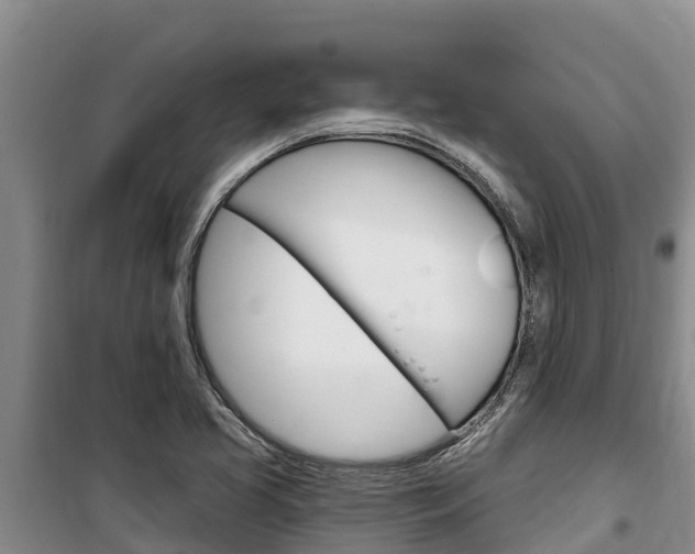 X0000100361413200806060812
