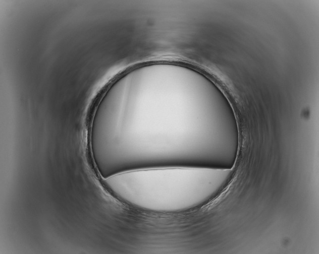 X0000100361414200806060812