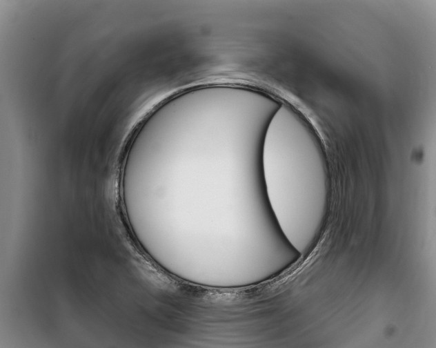 X0000100361415200806060812