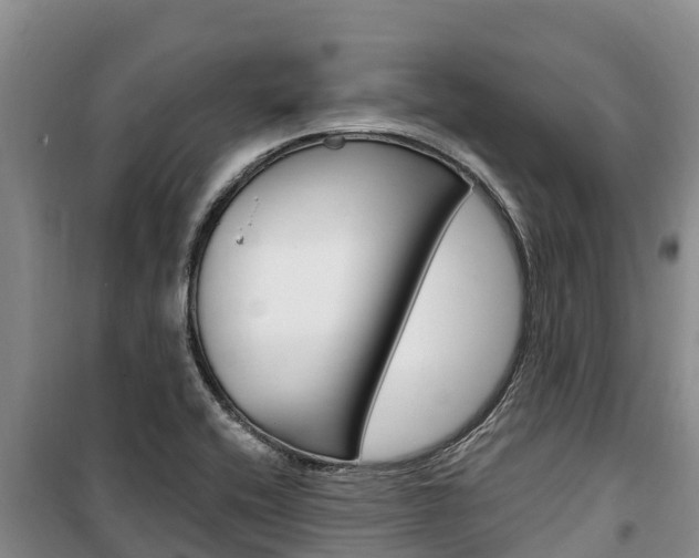 X0000100361416200806060812