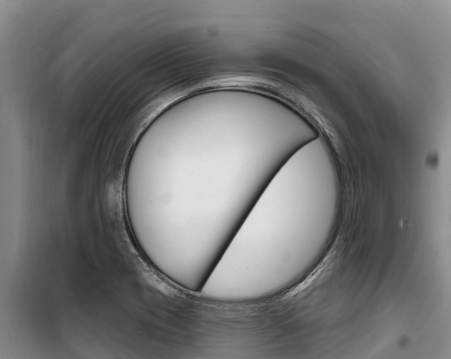 X0000100361417200806060812