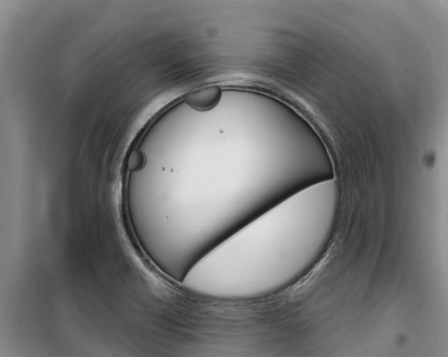 X0000100361418200806060812