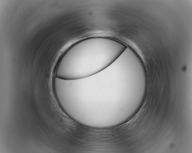 X0000100361419200806060812