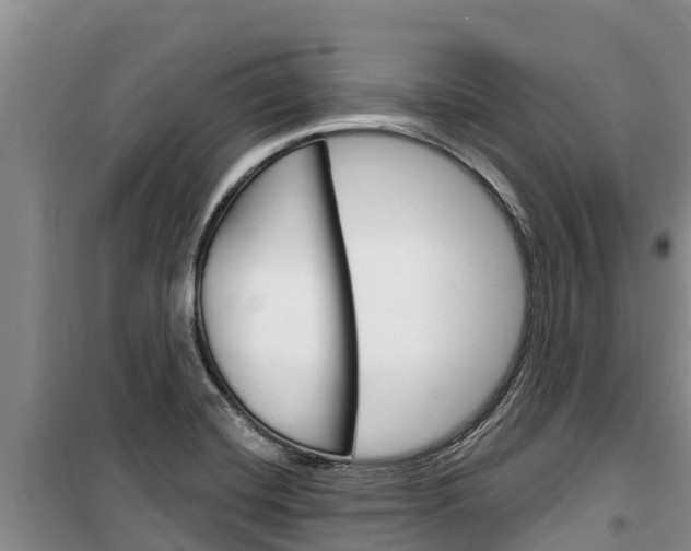 X0000100361420200806060812