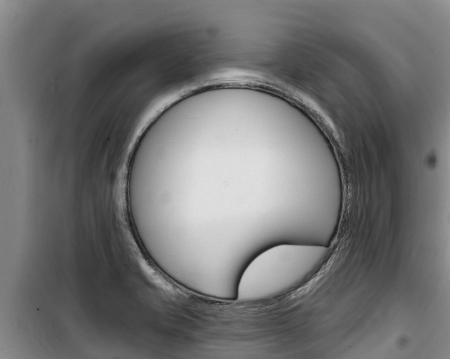 X0000100361421200806060812