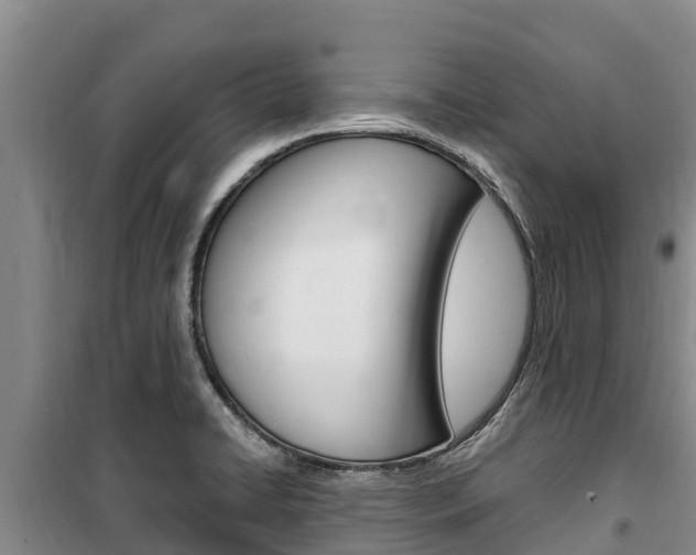X0000100361422200806060812