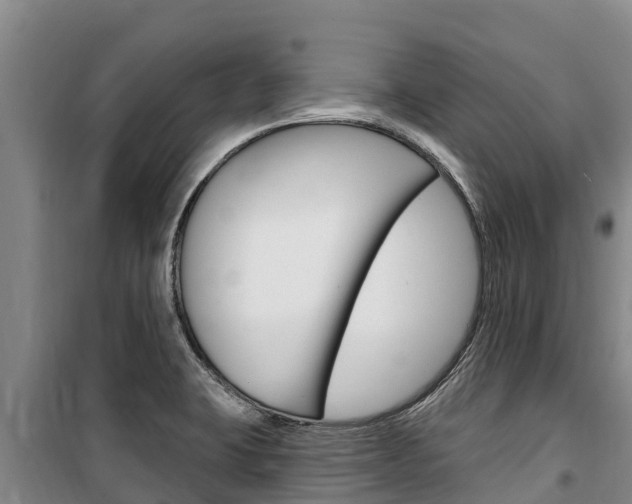 X0000100361423200806060812
