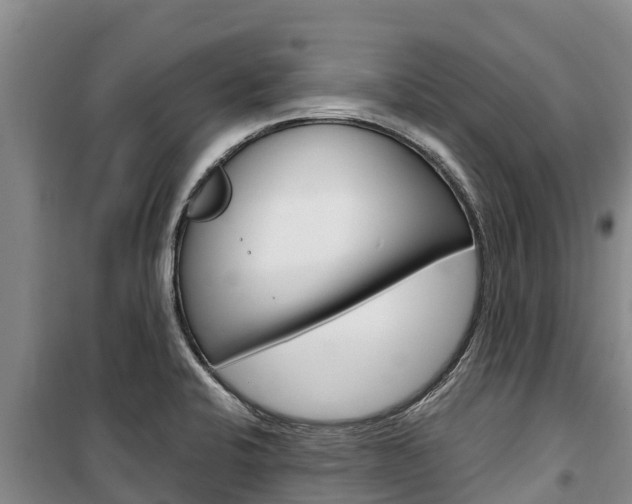 X0000100361424200806060812