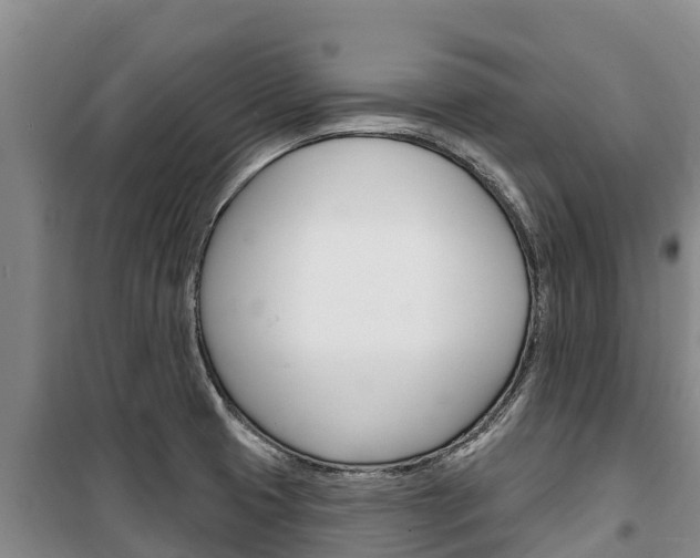 X0000100361425200806060812