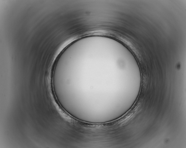 X0000100361426200806060812