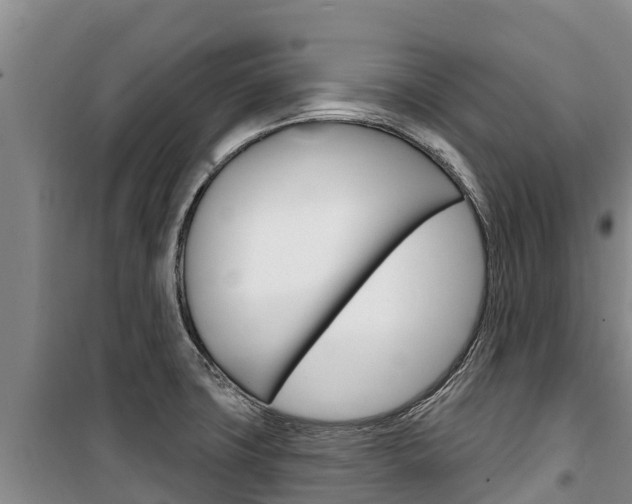 X0000100361427200806060812