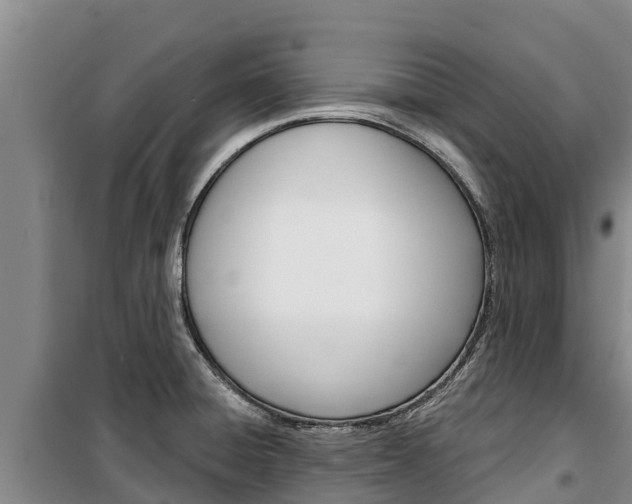 X0000100361428200806060813