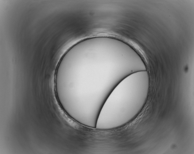 X0000100361431200806060813