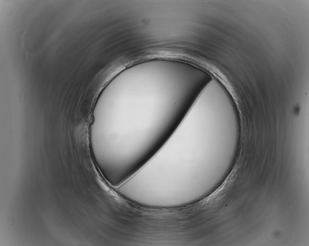 X0000100361433200806060813